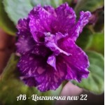Ав Цыганочка new 22