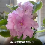 АВ Зефирка new 19